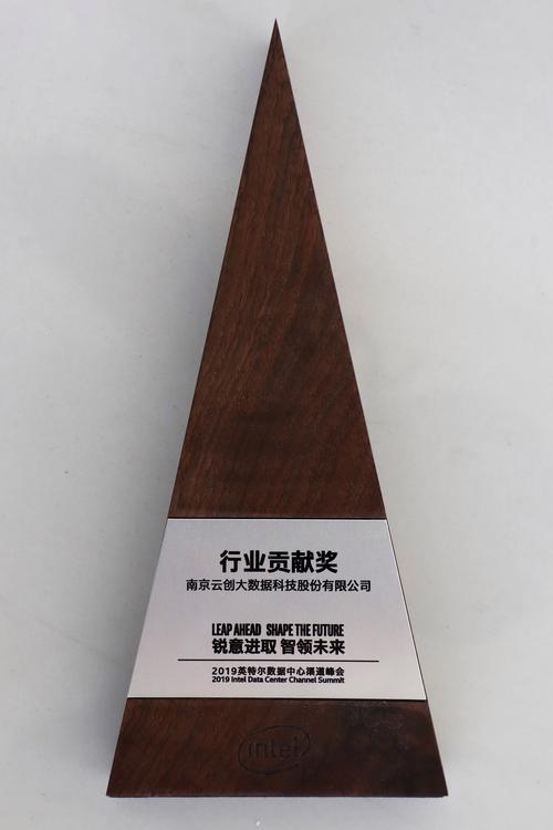 云创大数据荣膺英特尔"行业贡献奖"